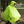 Adult Bike Rain Poncho - FULAP Rain Cape Spad de Ville